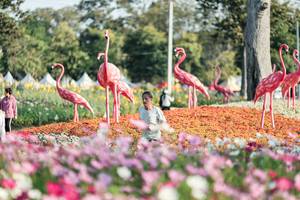 BIB: 
                            <button type="button" onclick="openModal(27344271)" class="btn btn-primary btn-sm float-right btn-popup" data-toggle="modal" data-target=".modal-high-quality">
                        <i class="fas fa-shopping-cart"></i> Add to Cart
                    </button>
                                            <button type="button" onclick="isThisMe(27344271, true)" class="btn btn-success btn-sm float-right btn-popup btn-isme hidden" data-toggle="tooltip" data-placement="bottom" title="นี่คือรูปของคุณใช่ไหม คลิกที่นี่เพื่อเอาเข้าอัลบั้ม">
                        <i class="fas fa-plus"></i> Add to album
                    </button>
                    <button type="button" onclick="isThisMe(27344271, false)" class="btn btn-warning btn-sm float-right btn-popup btn-isnotme hidden">
                        <i class="fas fa-ban"></i> Remove from album
                    </button>